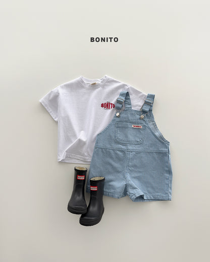 【PREORDER 4日間限定】13.stripe overall pants