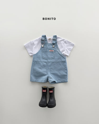 【PREORDER 4日間限定】13.stripe overall pants