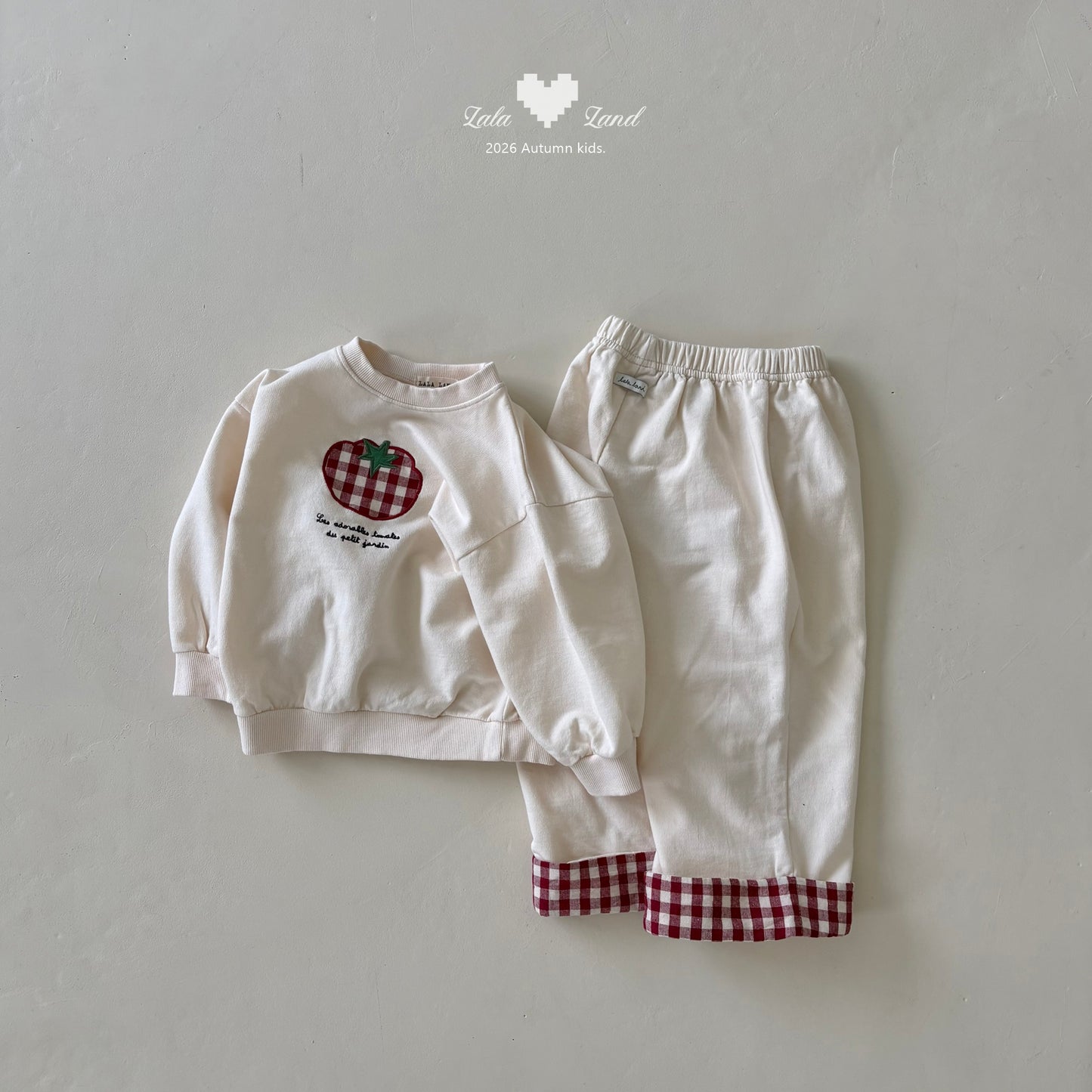 【PRE-ODER〆8.9(sun)】17.Check Contrast Pants | lalaland