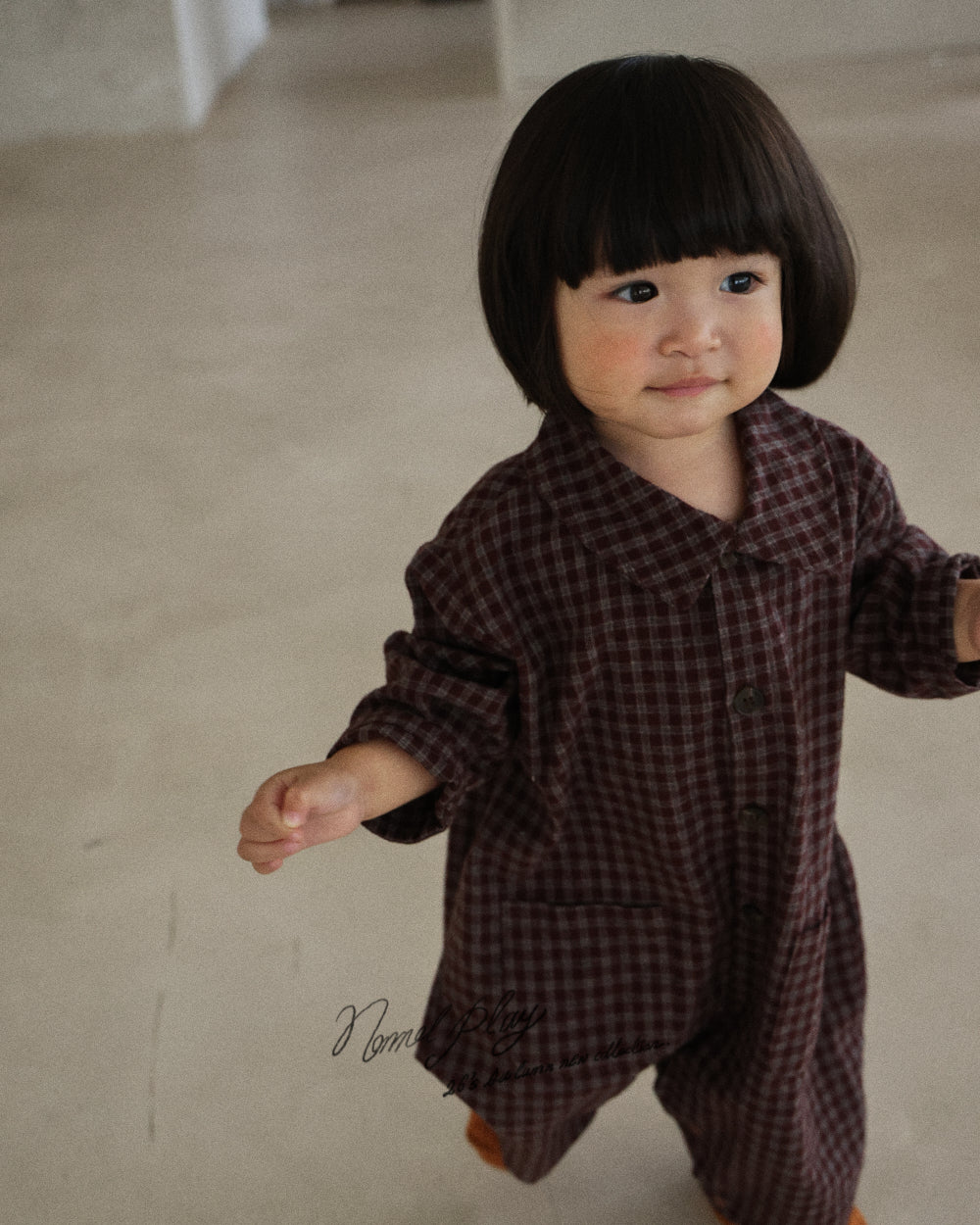 【PRE-ODER〆8.9(sun)】59.Tart Collar Suit | normalplay
