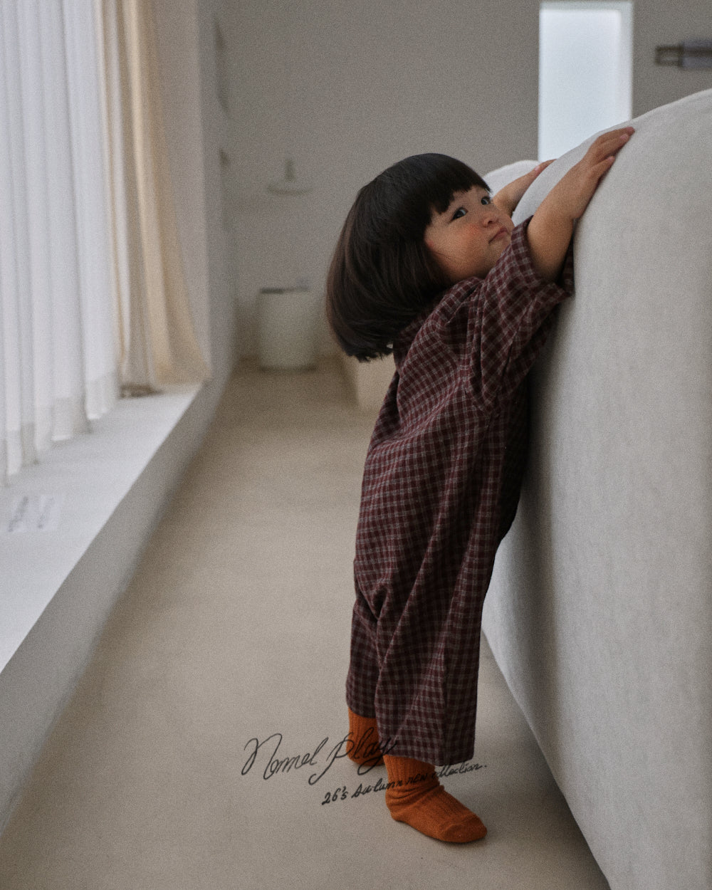 【PRE-ODER〆8.9(sun)】59.Tart Collar Suit | normalplay