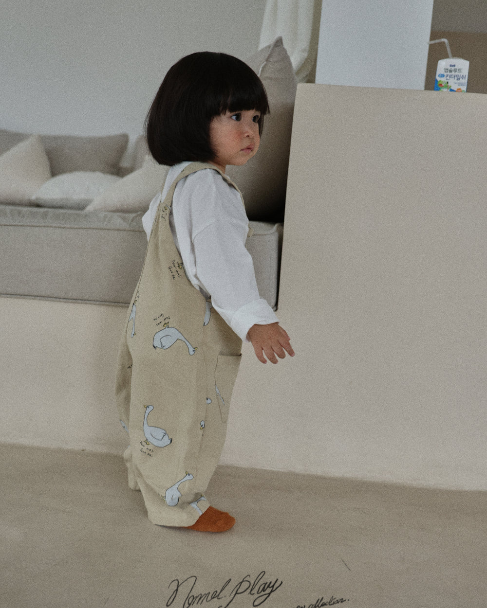 【PRE-ODER〆8.9(sun)】11.Normal Duck Overalls | normalplay