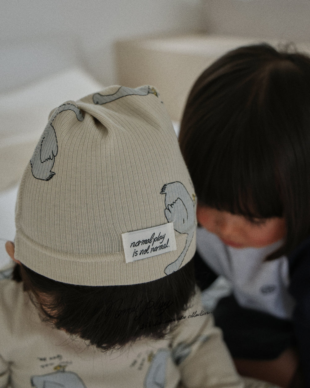 【PRE-ODER〆8.9(sun)】13.Normal Duck Rib Pointed Hat | normalplay