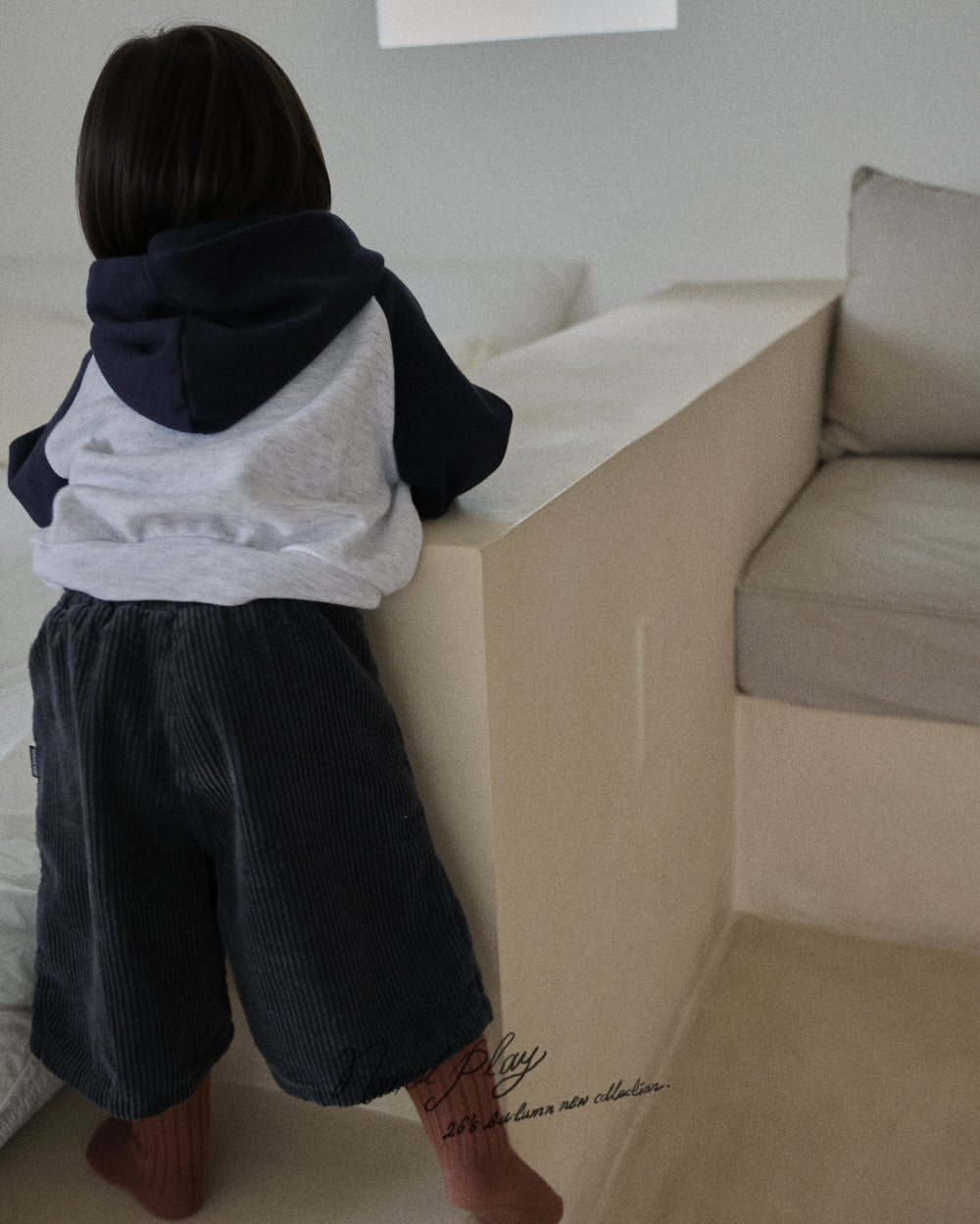 【PRE-ODER〆8.9(sun)】34.Basic Reversible Hoodie | normalplay