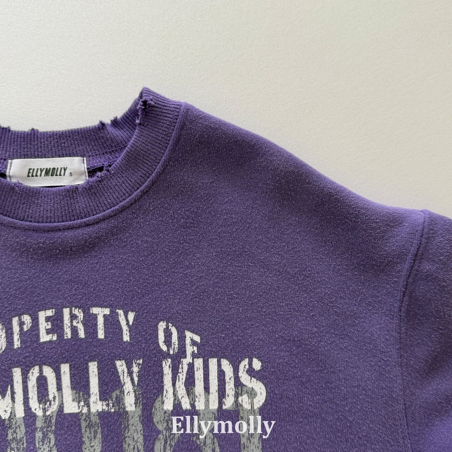 【PRE-ODER〆8.9(sun)】10.Vintage Sweatshirt | ellymolly