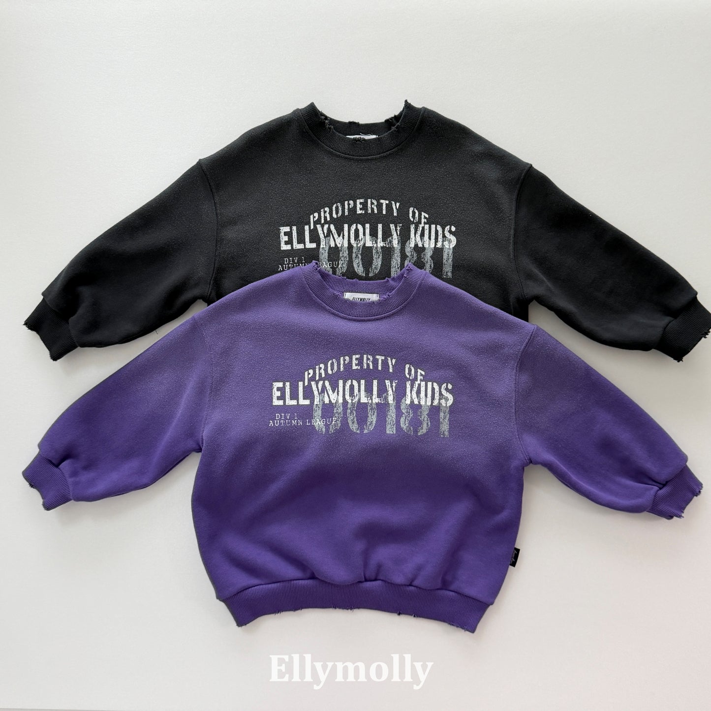 【PRE-ODER〆8.9(sun)】10.Vintage Sweatshirt | ellymolly