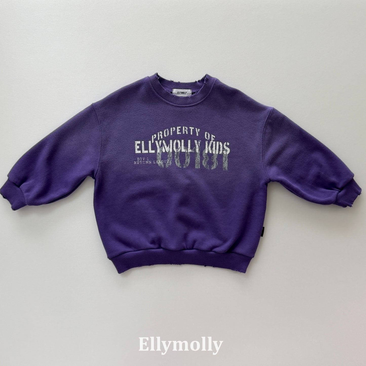 【PRE-ODER〆8.9(sun)】10.Vintage Sweatshirt | ellymolly