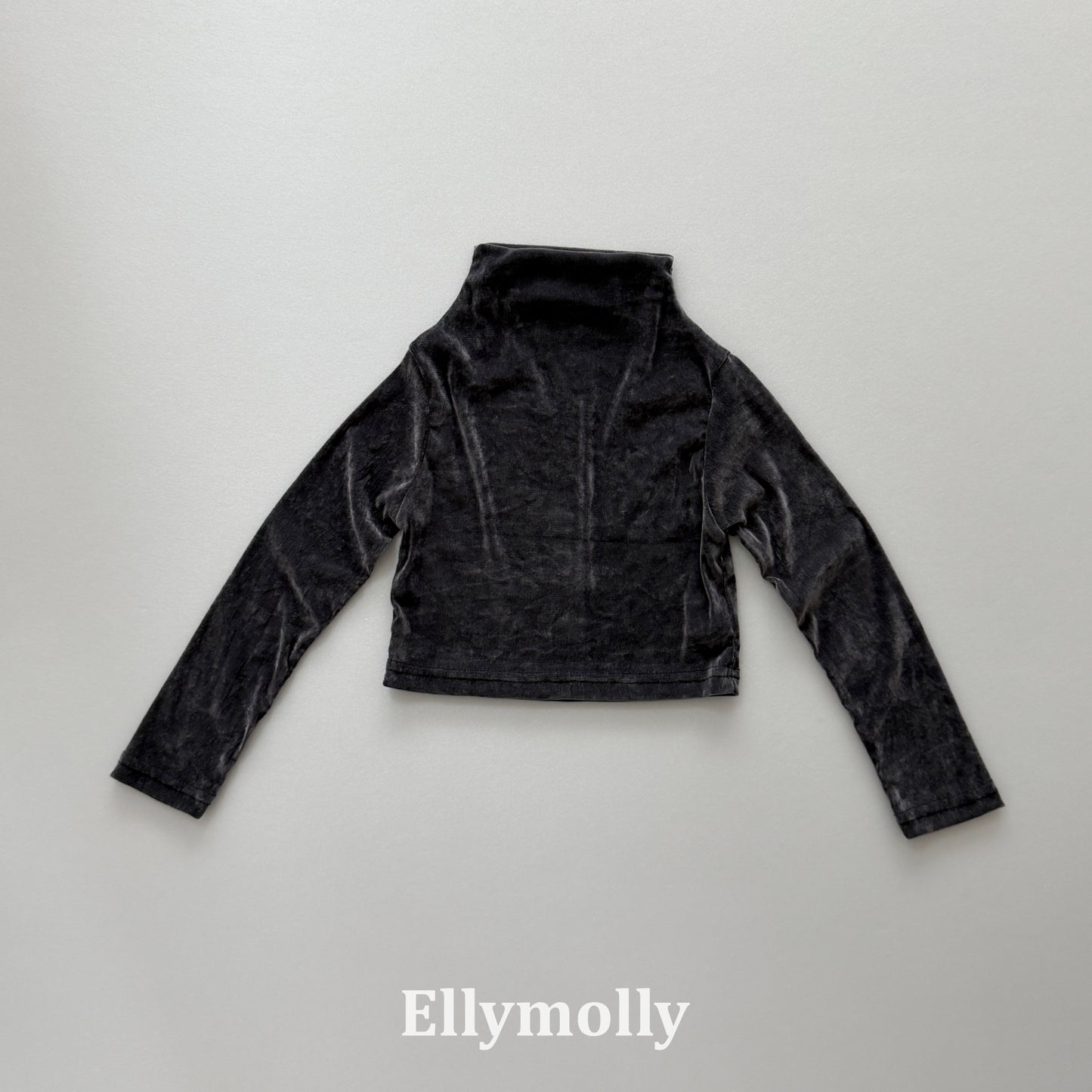 【PRE-ODER〆8.9(sun)】44.Velvet Mesh Mock-Neck Top | ellymolly