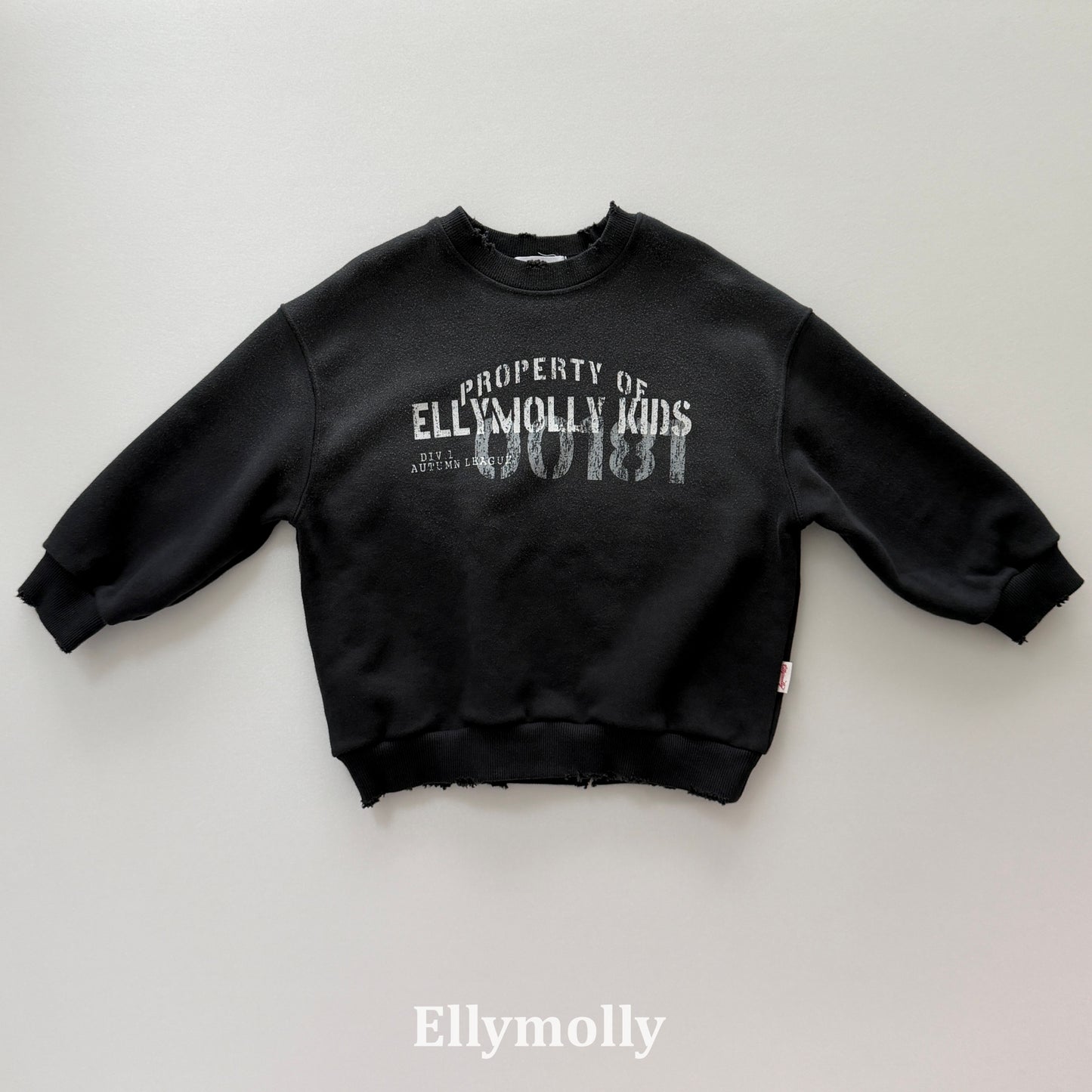 【PRE-ODER〆8.9(sun)】10.Vintage Sweatshirt | ellymolly