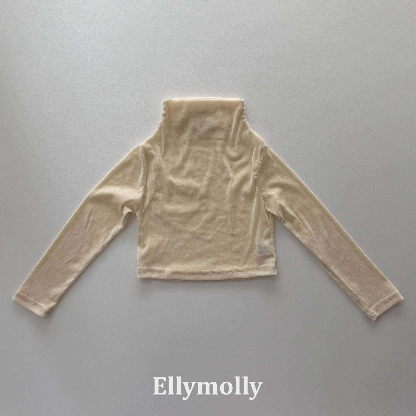 【PRE-ODER〆8.9(sun)】44.Velvet Mesh Mock-Neck Top | ellymolly