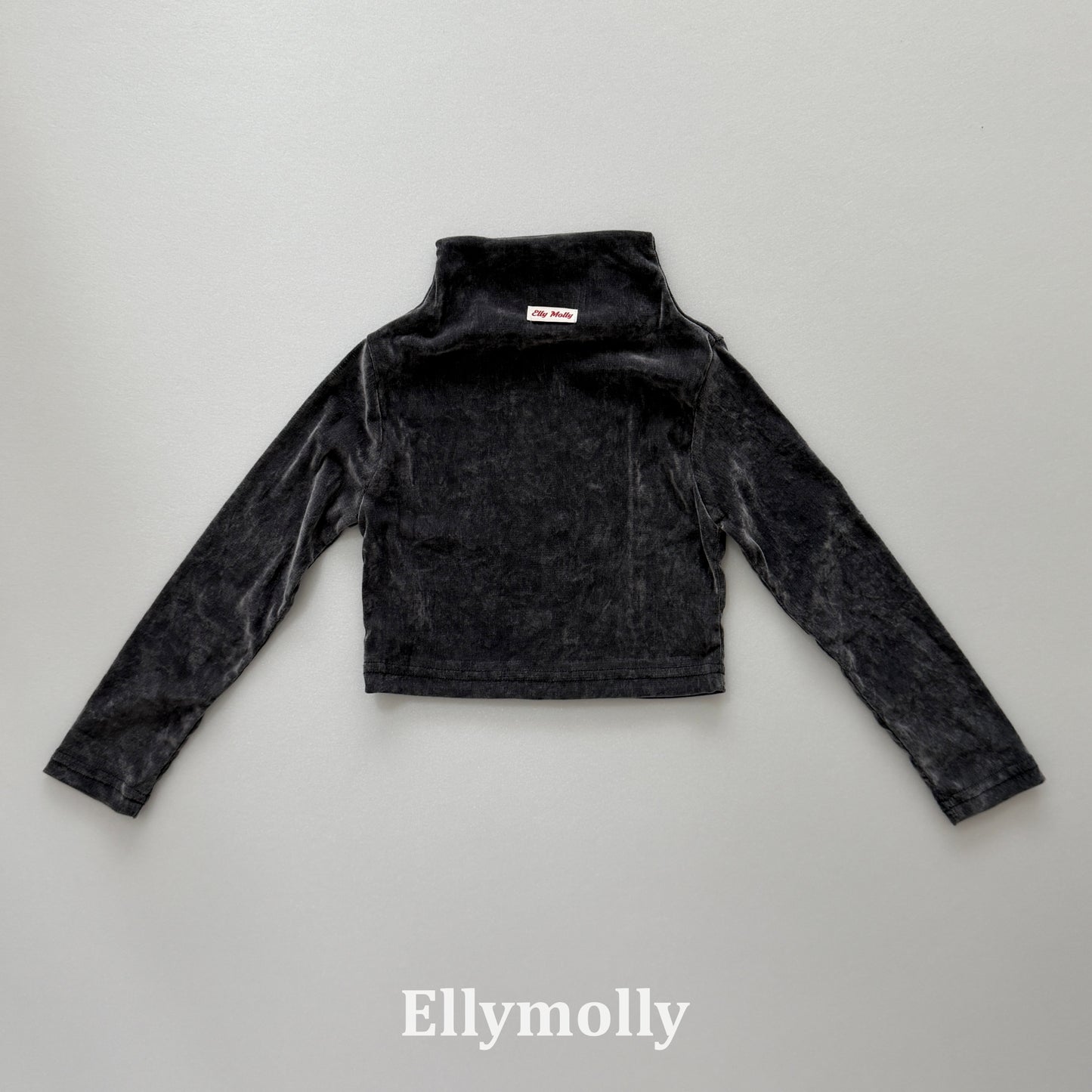 【PRE-ODER〆8.9(sun)】44.Velvet Mesh Mock-Neck Top | ellymolly