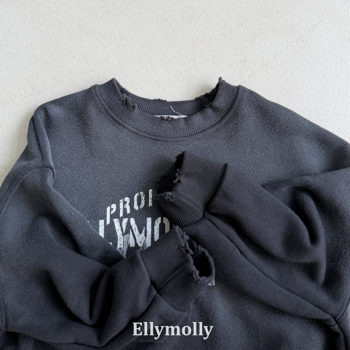 【PRE-ODER〆8.9(sun)】10.Vintage Sweatshirt | ellymolly