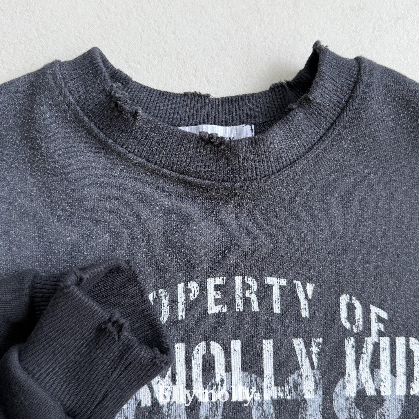 【PRE-ODER〆8.9(sun)】10.Vintage Sweatshirt | ellymolly