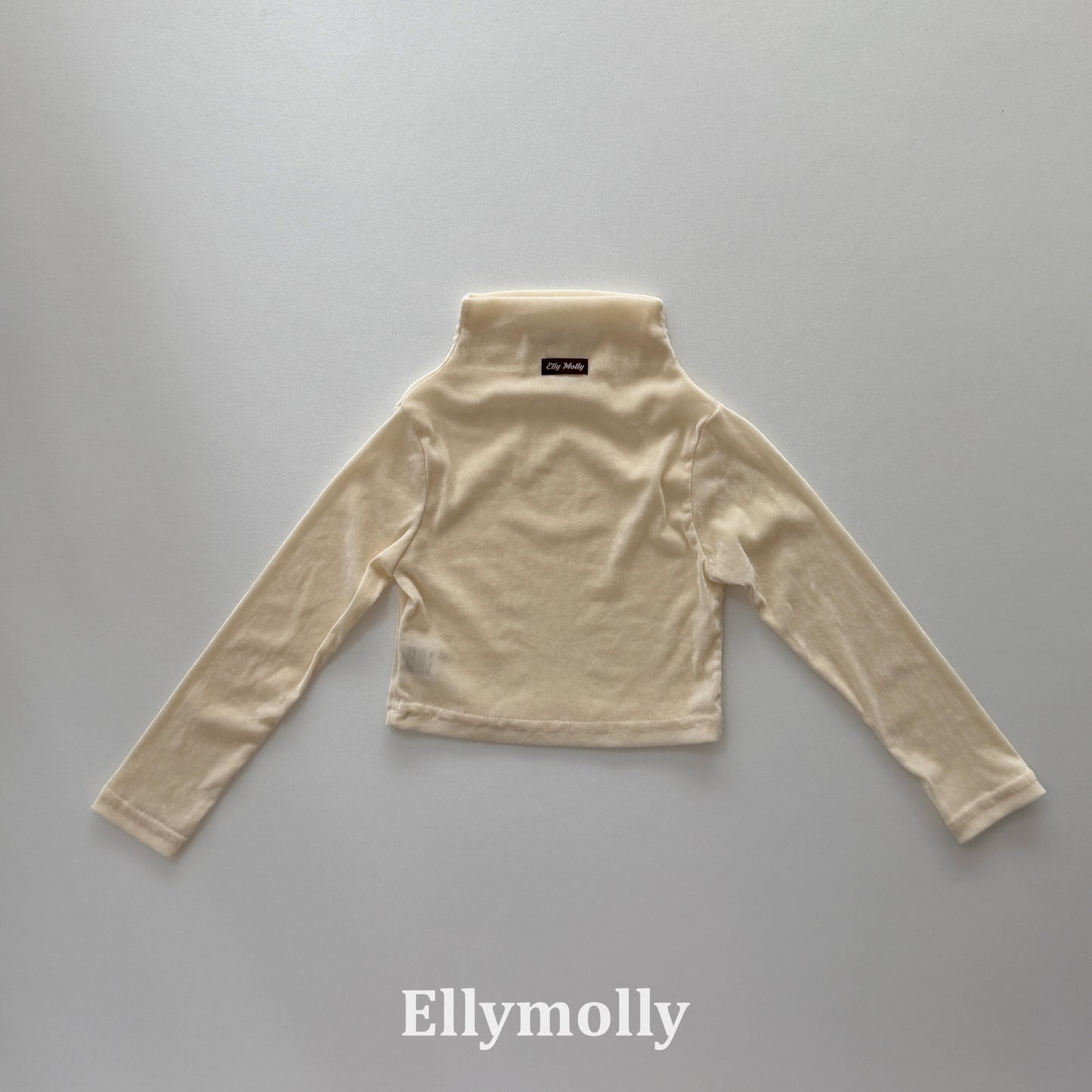 【PRE-ODER〆8.9(sun)】44.Velvet Mesh Mock-Neck Top | ellymolly