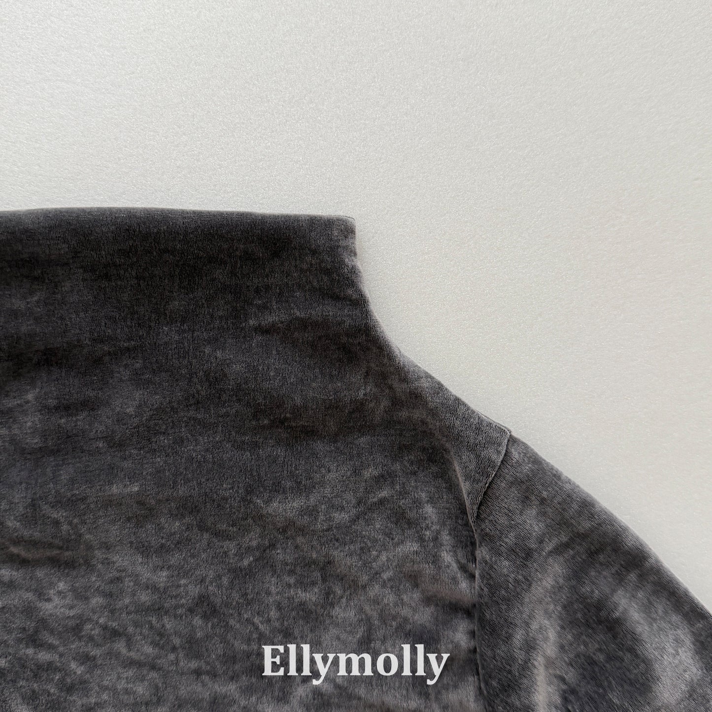 【PRE-ODER〆8.9(sun)】44.Velvet Mesh Mock-Neck Top | ellymolly