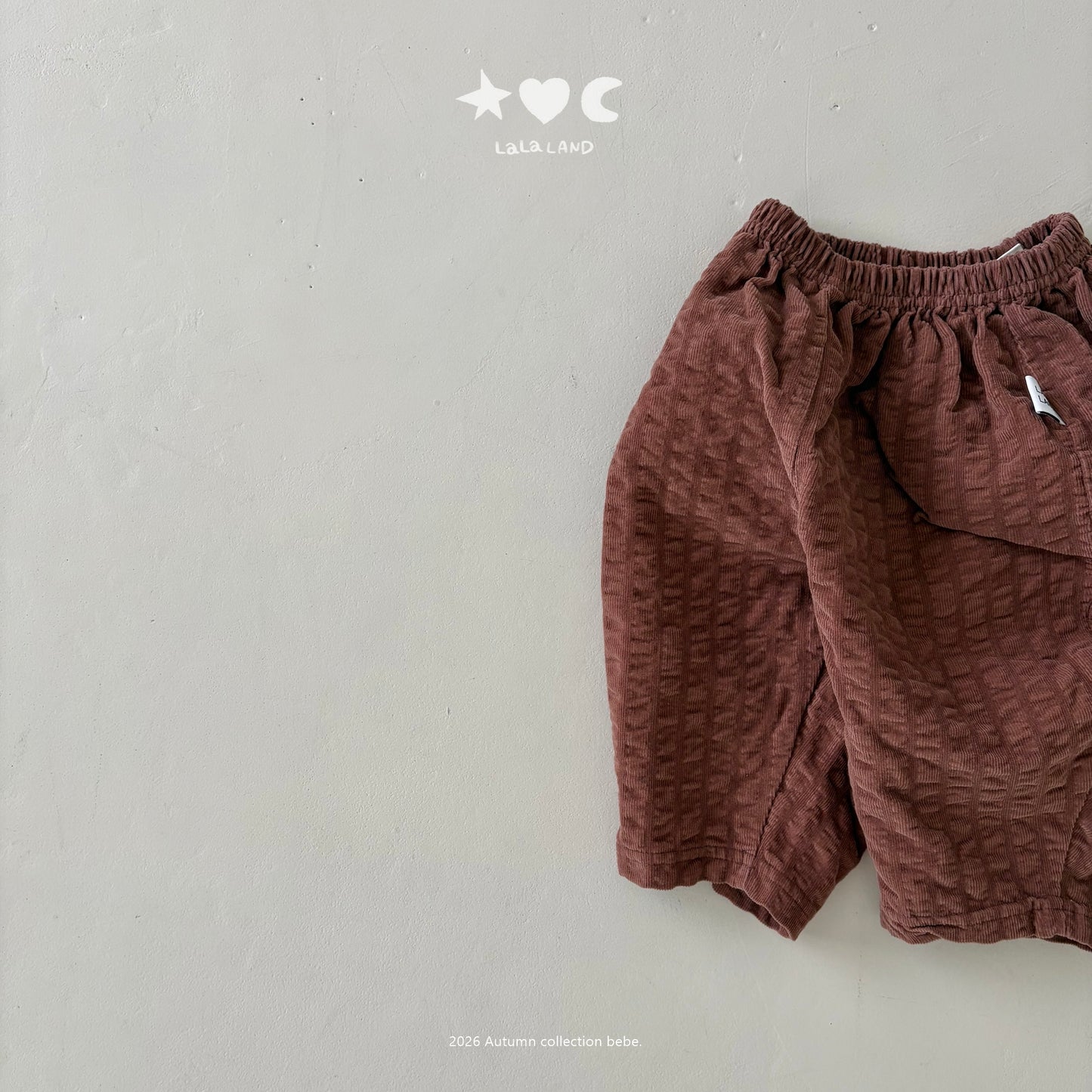 【PRE-ODER〆8.9(sun)】41.Embossed Corduroy Pants | lalaland