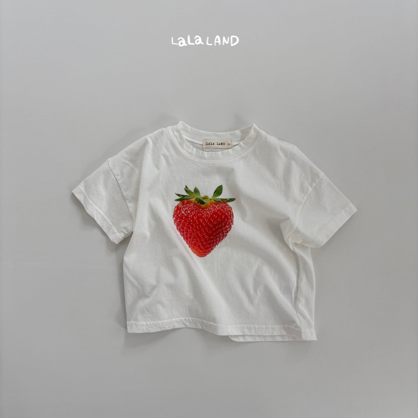【PREORDER受付終了、ご希望はお問い合わせください。】66.Berry Apple T-shirt