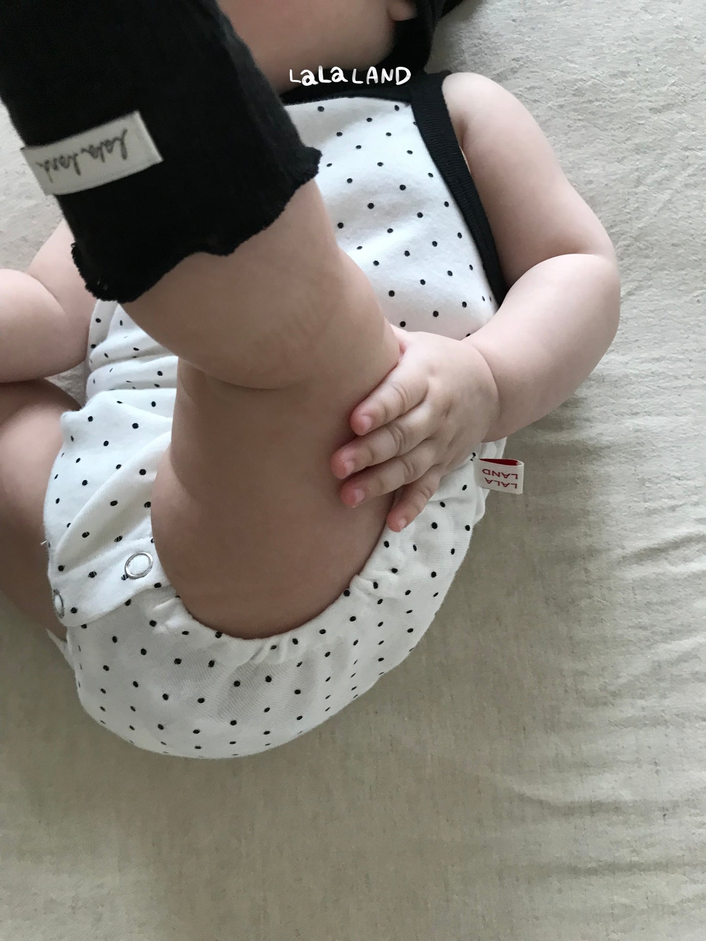 【PREORDER受付終了、ご希望はお問い合わせください。】7.Baby Summer Rib Socks