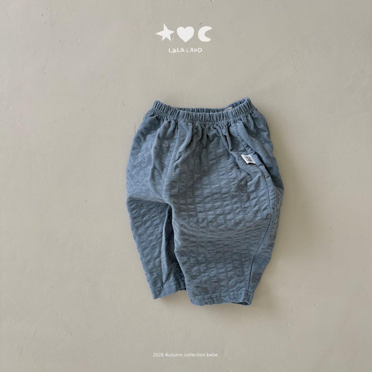 【PRE-ODER〆8.9(sun)】41.Embossed Corduroy Pants | lalaland