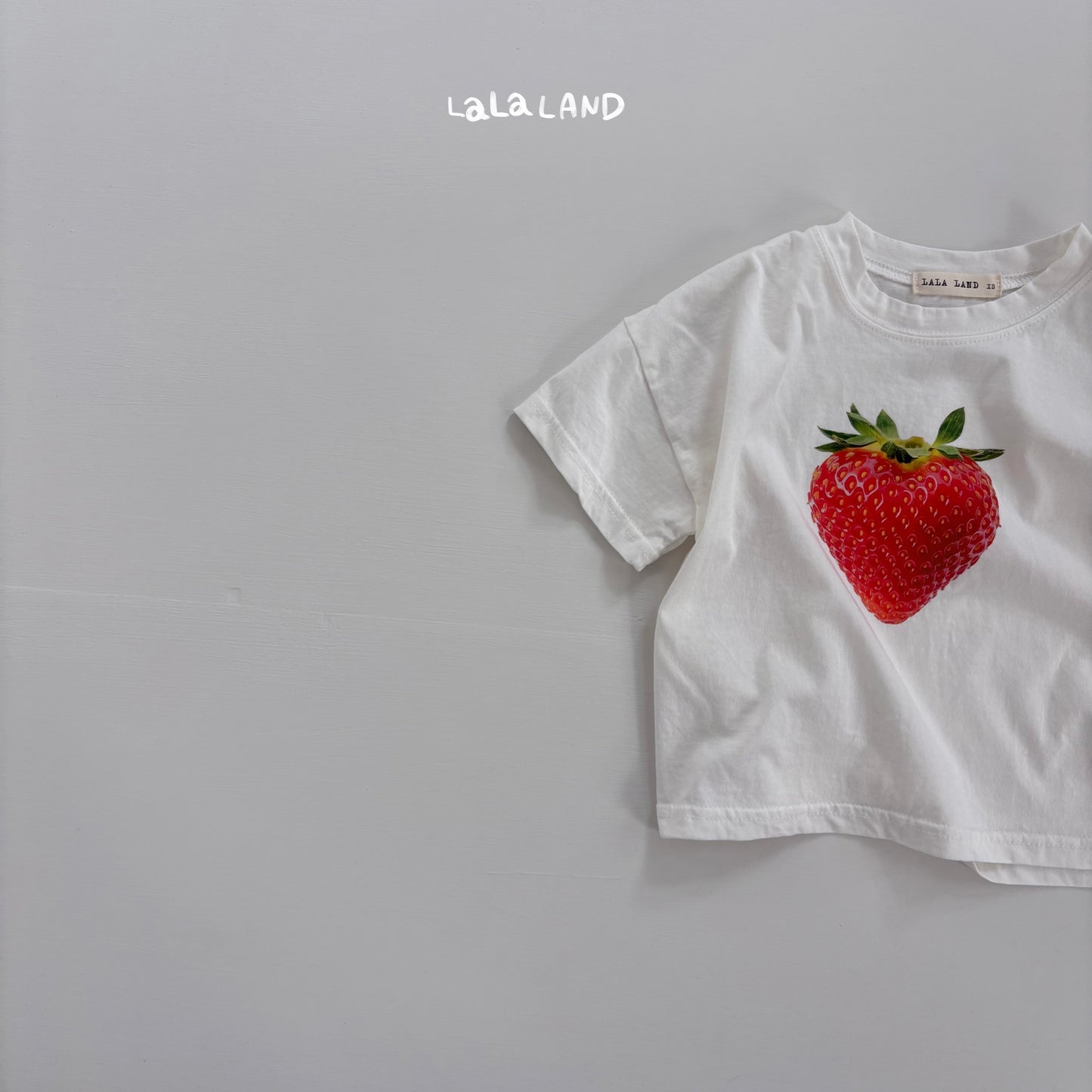 【PREORDER受付終了、ご希望はお問い合わせください。】66.Berry Apple T-shirt
