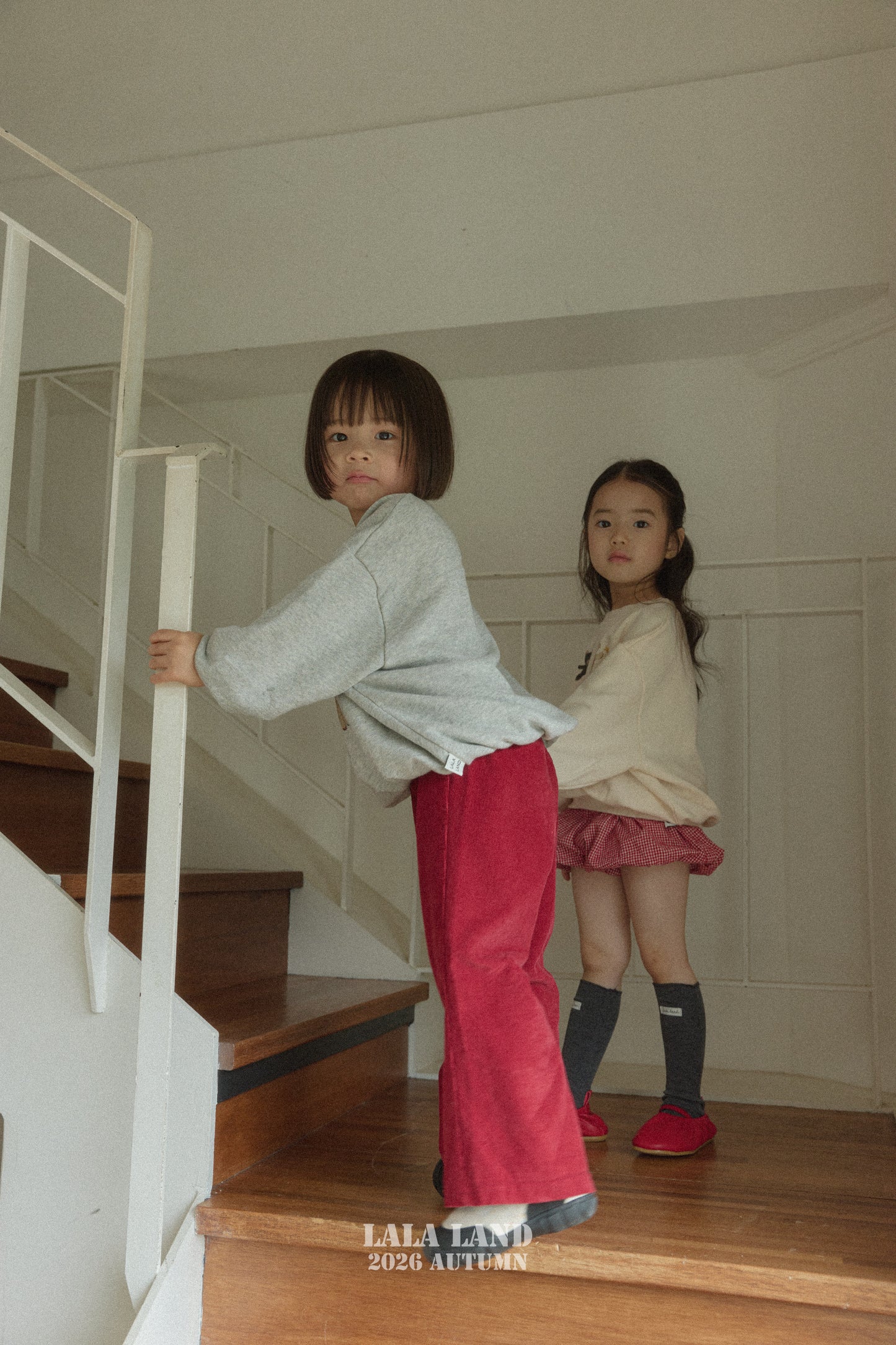 【PRE-ODER〆8.9(sun)】03.Knee-high Socks | lalaland
