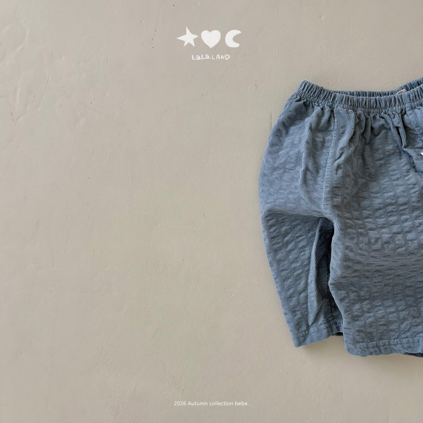 【PRE-ODER〆8.9(sun)】41.Embossed Corduroy Pants | lalaland