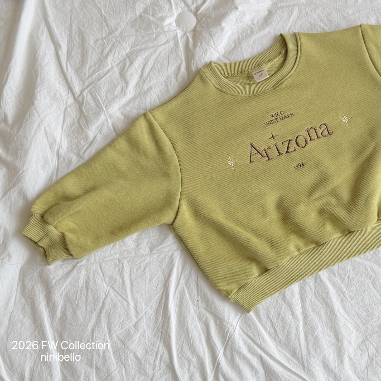 19.Arizona Sweatshirt