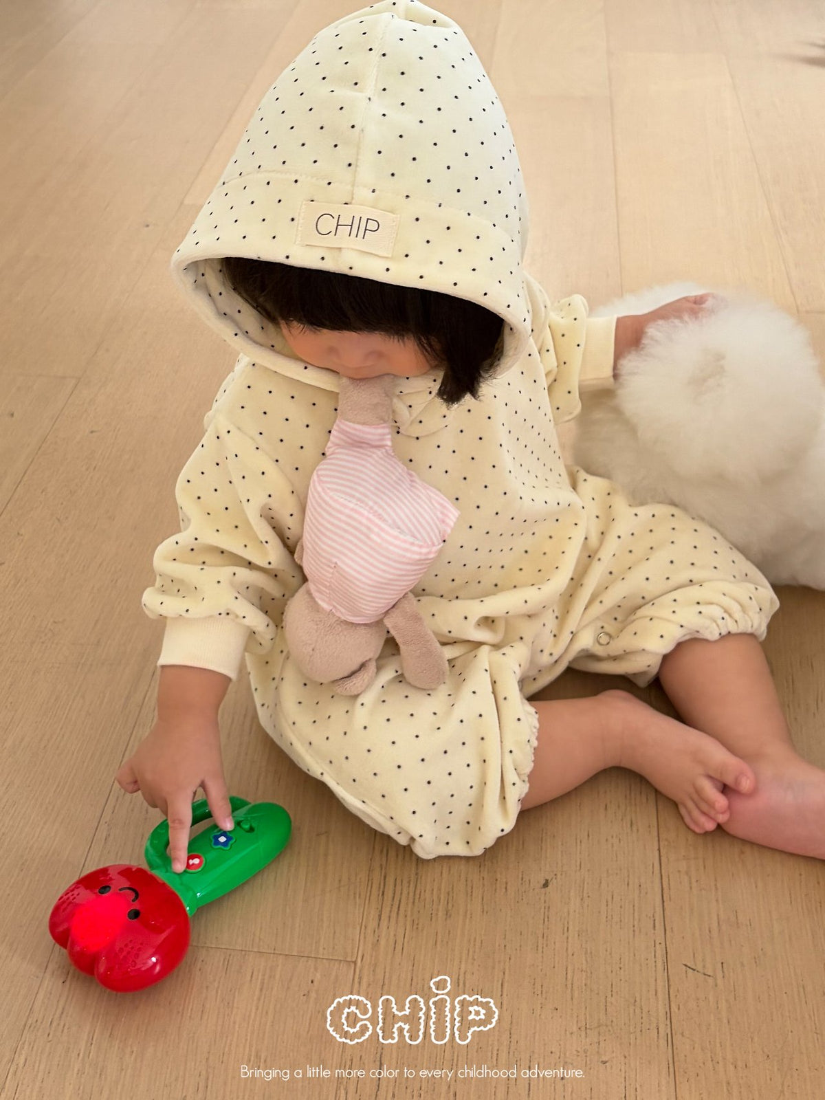 【秋のPRE-ODER 5%OFF】15.Dotty Bodysuit(単品)